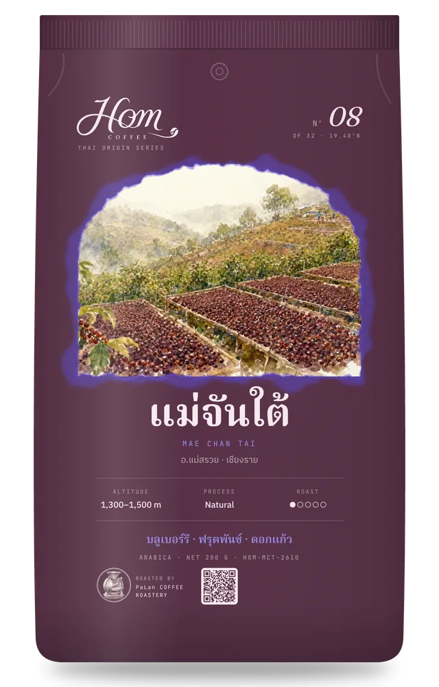 ถุงกาแฟ HOM Nº08 แม่จันใต้